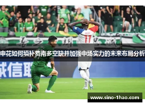 申花如何填补费南多空缺并加强中场实力的未来布局分析 申花如何填补费南多空缺并加强中场实力的未来布局分析