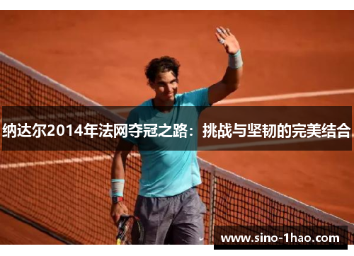 纳达尔2014年法网夺冠之路：挑战与坚韧的完美结合