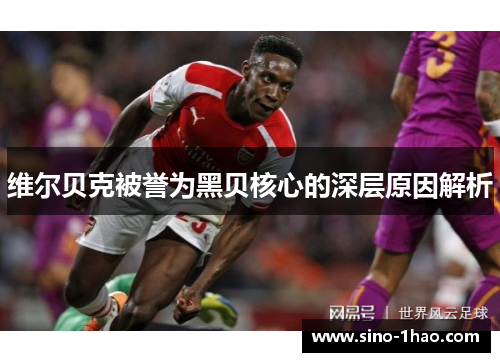 维尔贝克被誉为黑贝核心的深层原因解析