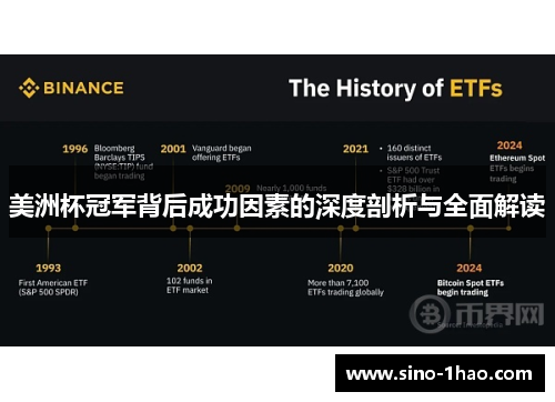 美洲杯冠军背后成功因素的深度剖析与全面解读