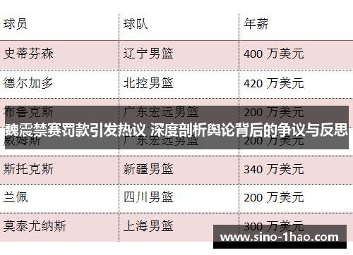 魏震禁赛罚款引发热议 深度剖析舆论背后的争议与反思